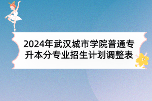 2024年武汉城市学院普通专升本分专业招生计划调整表