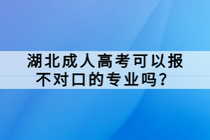 湖北成人高考可以报不对口的专业吗？