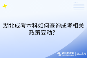 湖北成考本科如何查询成考相关政策变动？