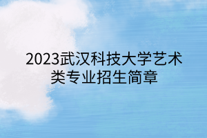 2023武汉科技大学艺术类专业招生简章