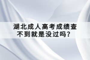 湖北成人高考成绩查不到就是没过吗？