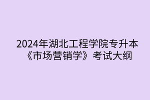 2024年湖北工程学院专升本电子商务专业《市场营销学》考试大纲