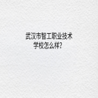 武汉市智工职业技术学校怎么样？