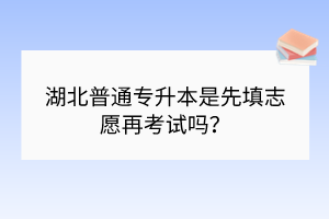 湖北普通专升本是先填志愿再考试吗？