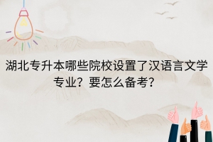 湖北专升本哪些院校设置了汉语言文学专业？要怎么备考？