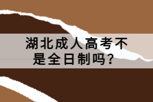 湖北成人高考不是全日制吗？