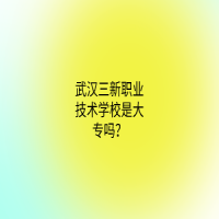 武汉三新职业技术学校是大专吗？