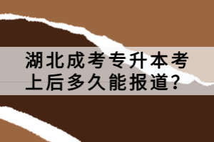 湖北成考专升本考上后多久能报道？