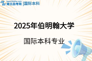 2025年伯明翰大学国际本科专业，如何选择？