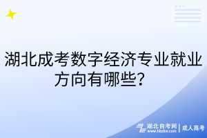 湖北成考数字经济专业就业方向有哪些？