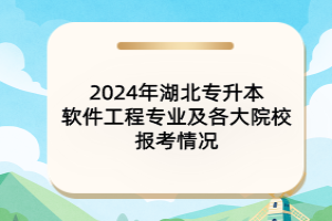 2024年湖北专升本软件工程专业及各大院校报考情况