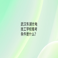 武汉东湖光电技工学校报考条件是什么？