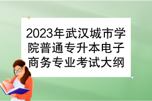 2023年武汉城市学院普通专升本电子商务专业考试大纲
