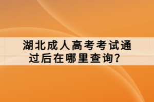 湖北成人高考考试通过后在哪里查询？