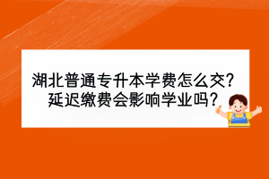 湖北普通专升本学费怎么交？延迟缴费会影响学业吗？