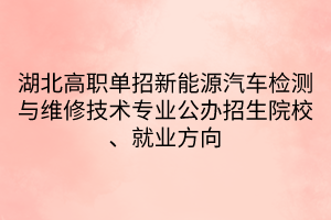 湖北高职单招新能源汽车检测与维修技术专业公办招生院校、就业方向