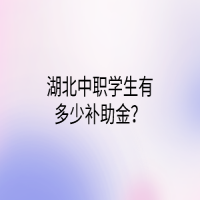 湖北中职学生有多少补助金？