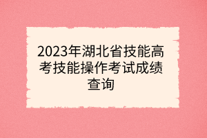2023年湖北省技能高考技能操作考试成绩查询