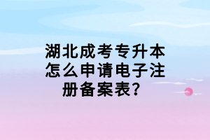 湖北成考专升本怎么申请电子注册备案表？