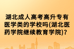 湖北成人高考高升专有医学类的学校吗(湖北医药学院继续教育学院)？