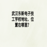 武汉东新电子技工学校地址、位置在哪里？