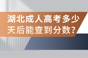 湖北成人高考学费应该怎么交？