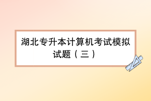 湖北专升本计算机考试模拟试题（三）