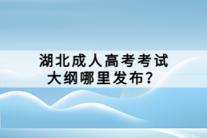 湖北成人高考考试大纲哪里发布？