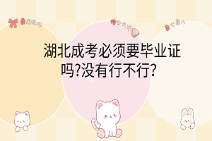 湖北成考必须要毕业证吗?没有行不行？