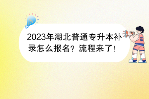 2023年湖北普通专升本补录怎么报名？流程来了！