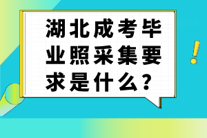 湖北成考毕业照采集要求是什么？