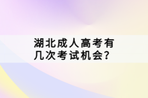 湖北成人高考有几次考试机会？