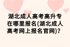 湖北成人高考高升专在哪里报名(湖北成人高考网上报名官网)？