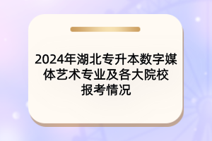 2024年湖北专升本数字媒体艺术专业及各大院校报考情况