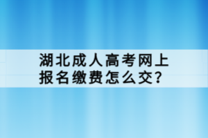湖北成人高考网上报名缴费怎么交？