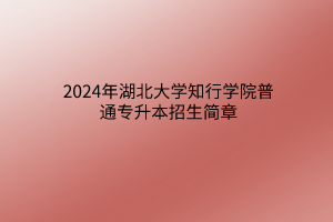 2024年湖北大学知行学院普通专升本招生简章