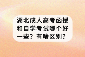 湖北成人高考函授和自学考试哪个好一些？有啥区别？