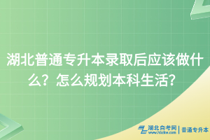 湖北普通专升本录取后应该做什么？怎么规划本科生活？