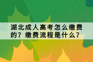 湖北成人高考怎么缴费的？缴费流程是什么？
