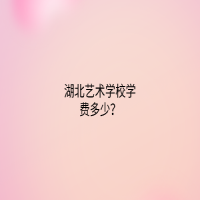 湖北艺术学校学费多少？