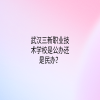 武汉三新职业技术学校是公办还是民办？