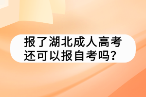 报了湖北成人高考还可以报自考吗？