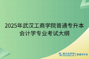 2025年武汉工商学院普通专升本会计学专业考试大纲