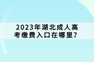 2023年湖北成人高考缴费入口在哪里？