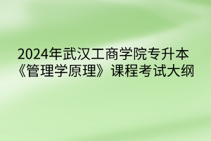 2024年武汉工商学院专升本《管理学原理》课程考试大纲