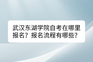 武汉东湖学院自考在哪里报名？报名流程有哪些？