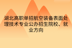 湖北高职单招航空装备表面处理技术专业公办招生院校、就业方向