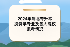 2024年湖北专升本投资学专业及各大院校报考情况