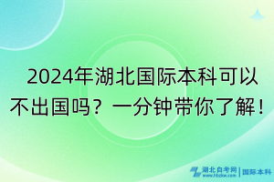 2024年湖北国际本科可以不出国吗？一分钟带你了解！