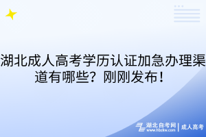 湖北成人高考学历认证加急办理渠道有哪些？刚刚发布！